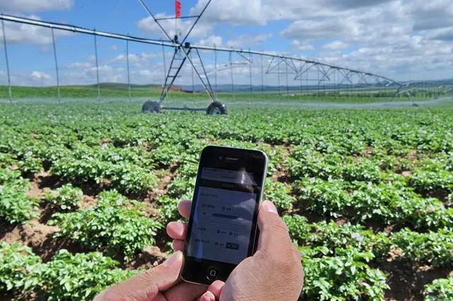 國務(wù)院常務(wù)會議鼓勵(lì)的“互聯(lián)網(wǎng)+農(nóng)業(yè)”創(chuàng)新手段，幫你找到了案例