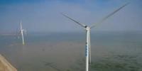 天津南港海上風電場一期首批風力發(fā)電機<font color=