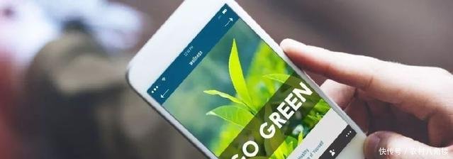 互聯(lián)網(wǎng)+農(nóng)業(yè)”發(fā)展再添引擎 手機(jī)將成農(nóng)民“新農(nóng)具”