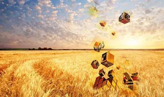 互聯(lián)網(wǎng)+合作社”新型農(nóng)業(yè)開(kāi)啟致富模式