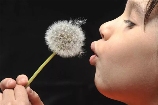 電動車的動力電池 和我的iPhone X有啥區(qū)別