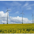 風(fēng)電產(chǎn)業(yè)觀察：風(fēng)電行業(yè)的四個(gè)確定、三個(gè)不確定