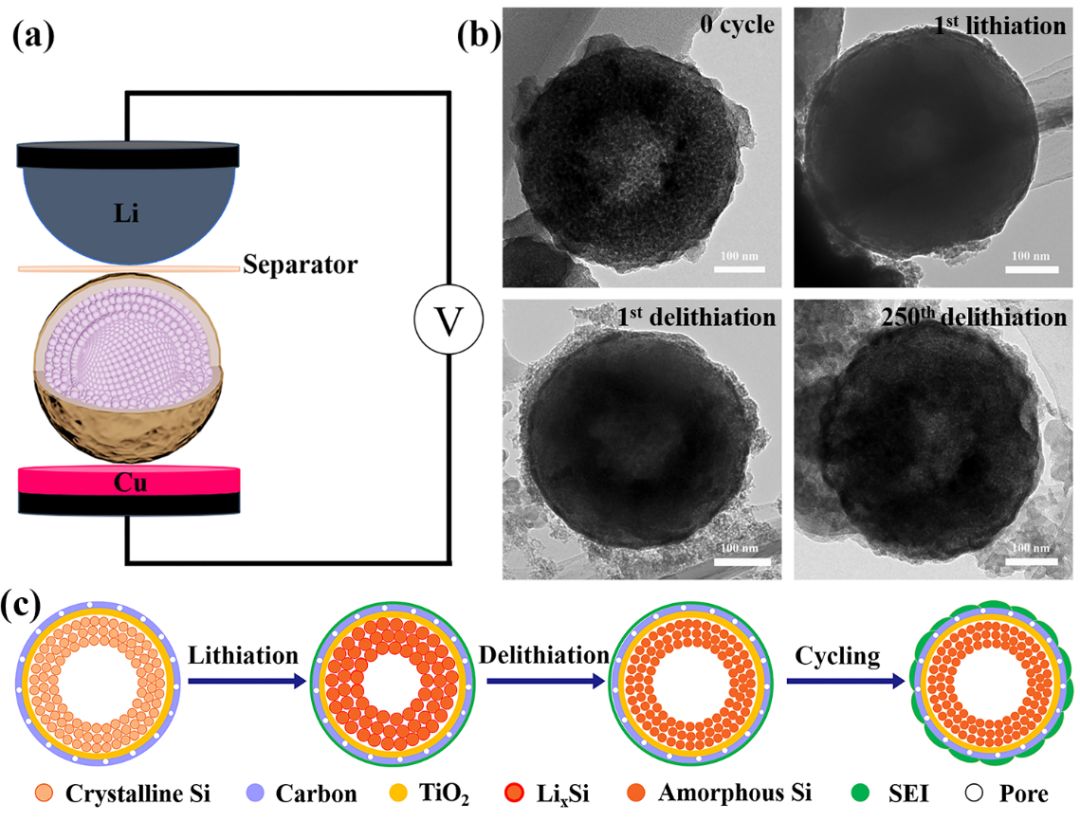 空心包裹硅負(fù)極材料研究：有效改善膨脹提高導(dǎo)電性