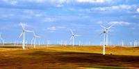 政策扶持 風(fēng)電業(yè)<font color=
