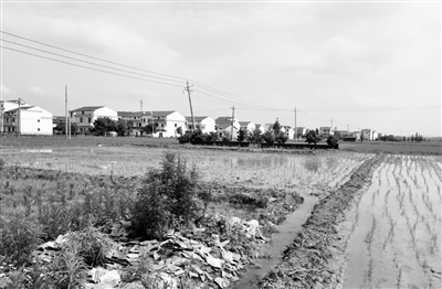 “保家行動(dòng)”治水成效顯著 又見新余秀水淙淙