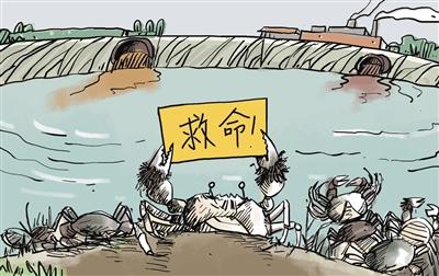 上游污水“毒死”萬畝大閘蟹，誰擔其責？