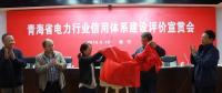 青海電力行業(yè)信用體系建設正式起步 電力信用評價中心揭牌成立