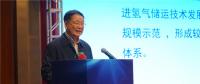 中國能源研究會副秘書長王凡：截止到2018年7月 我國有近20座城市規(guī)劃和布局發(fā)展氫能與燃料電池產業(yè)