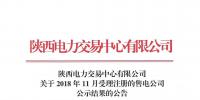 陜西關(guān)于2018年11月受理注冊的售電公司公示結(jié)果的公告
