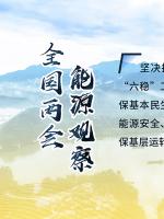 讀圖｜2020政府工作報(bào)告中這些內(nèi)容，和能源電力有關(guān)！