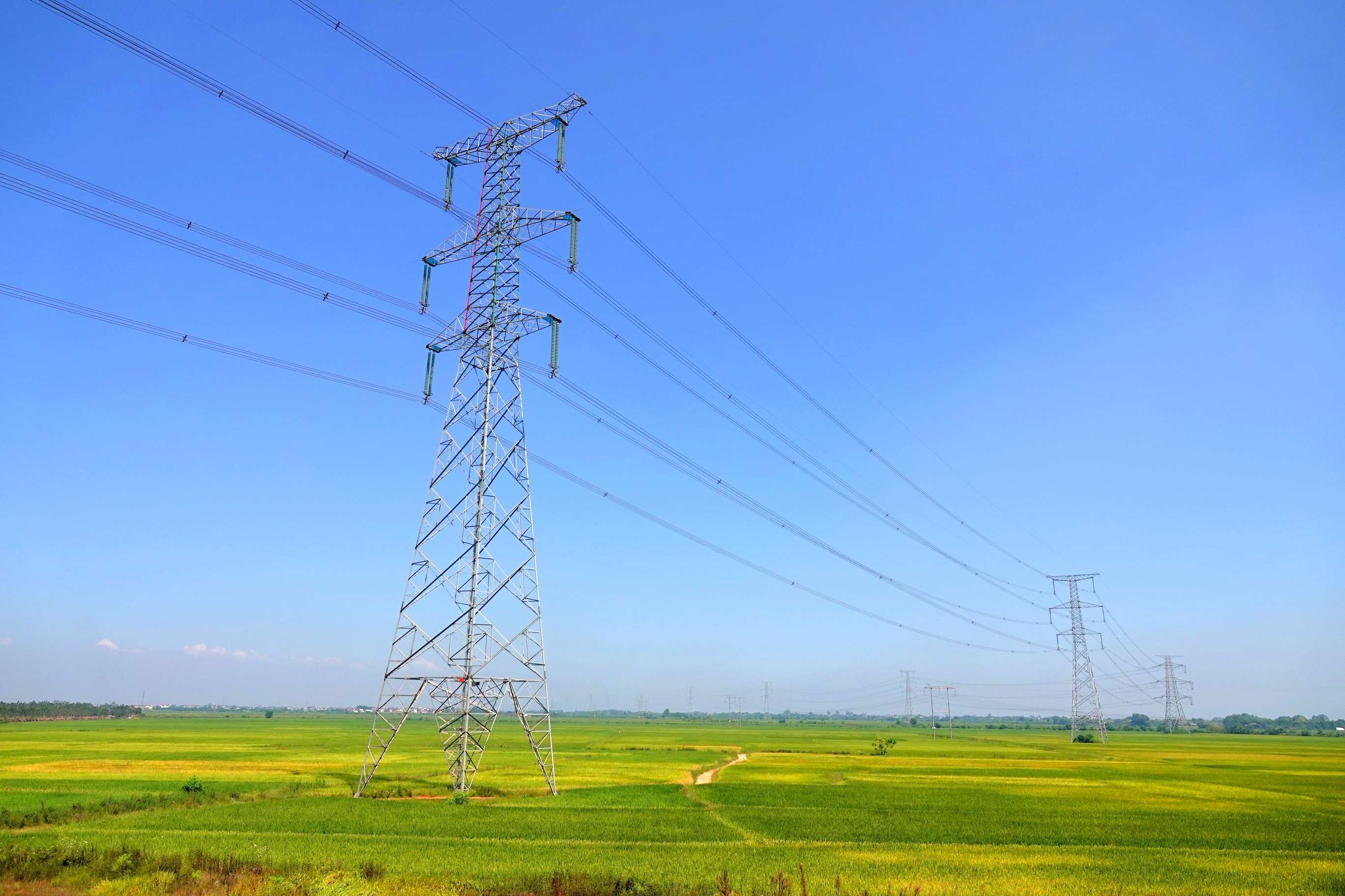 電力市場_電力行業(yè)it市場_《中國電力報(bào)》采訪并報(bào)道\